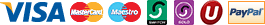 The Payment Methods We Accept: Visa, MasterCard, Maestro, Switch, Solo, Ukash, and Paypal
